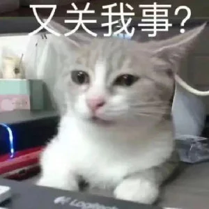 又关我什么事