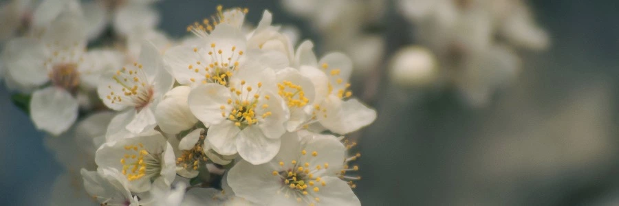 Welcome to BIIBII.CN