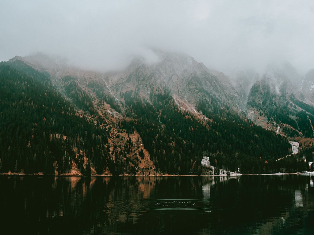 好的话好的好的好